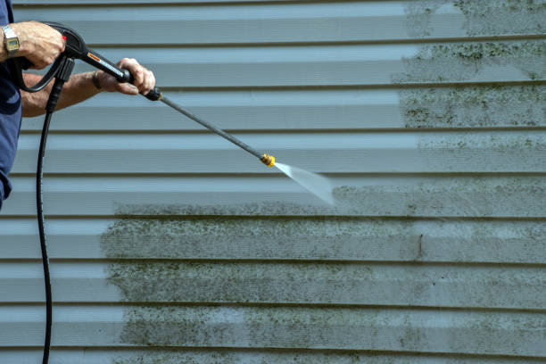 Best Fence Cleaning  in Rainbow, CA