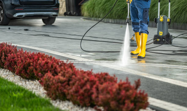 Best Driveway Pressure Washing  in Rainbow, CA
